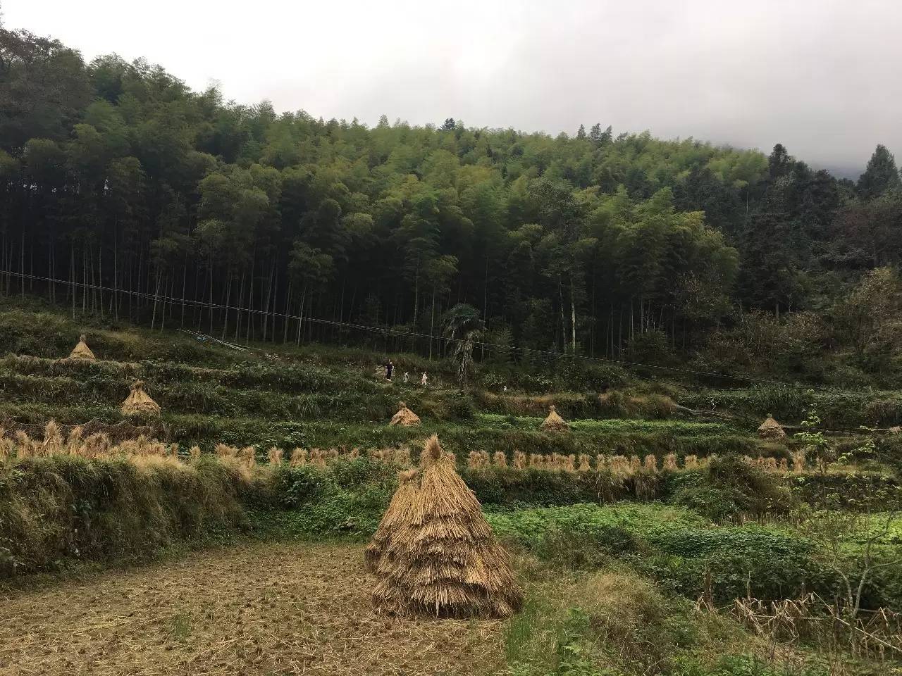 台州公盂徒步攻略,仙居公盂村一日徒步攻略