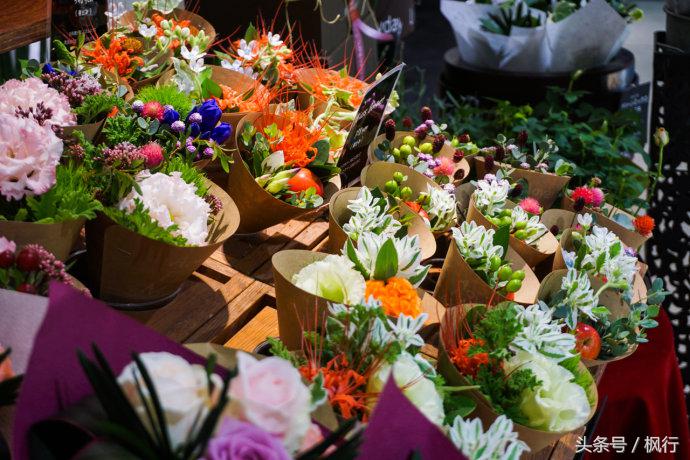福冈神社在左购物在右,福冈的神社有哪几个