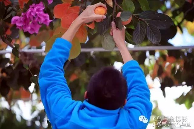 最好的旅游就是陪伴,一场美好的旅行是爱的陪伴