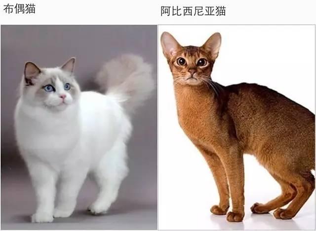 大白话电脑，不用电脑的语言说电脑，小白都能懂