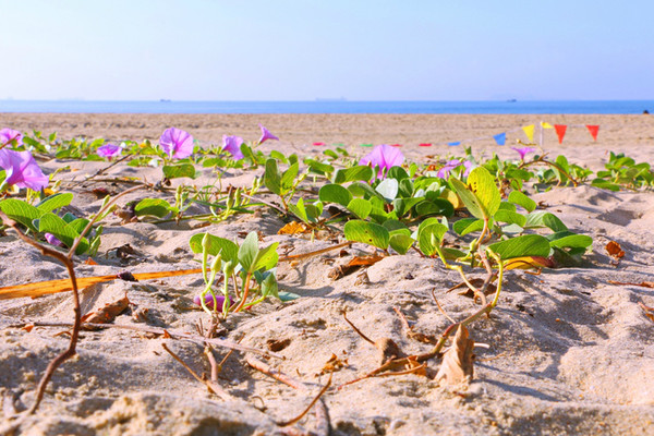 三亚最美的地方在哪里,三亚世界上最美的海在哪里