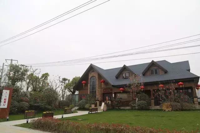 合肥牛排餐厅推荐,合肥战斧牛排餐厅