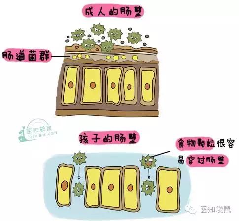 崔玉涛益生菌能长期吃吗,崔玉涛推荐过敏益生菌