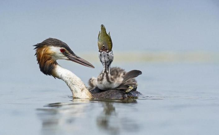 天气转冷的温泉,天气冷了泡温泉