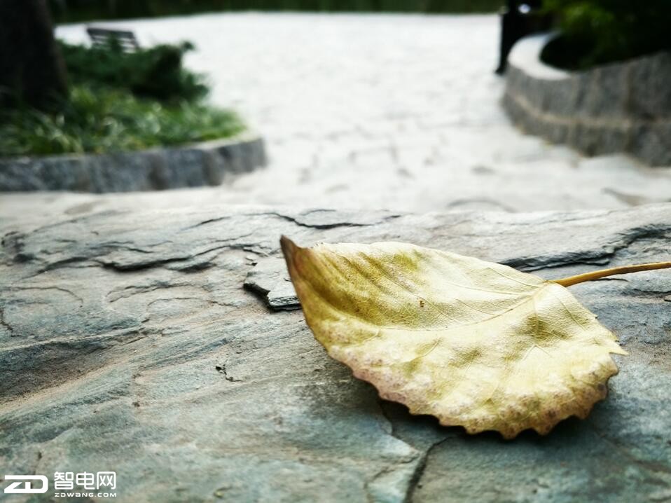 oppor9s柔光摄像头价格,oppor9s清新绿开箱视频