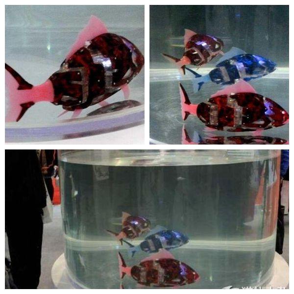 双11特惠1分购,双11特惠最后一天