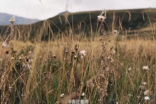 摄影写真排名前十名,摄影十大品牌排行榜前十名