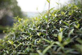 佳能16-35mmF2.8III镜头评测：9年换代值得等