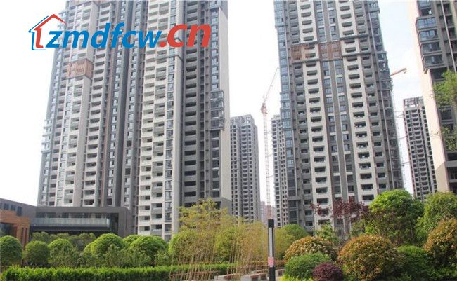 小丫看房日记,小丫探房驻马店