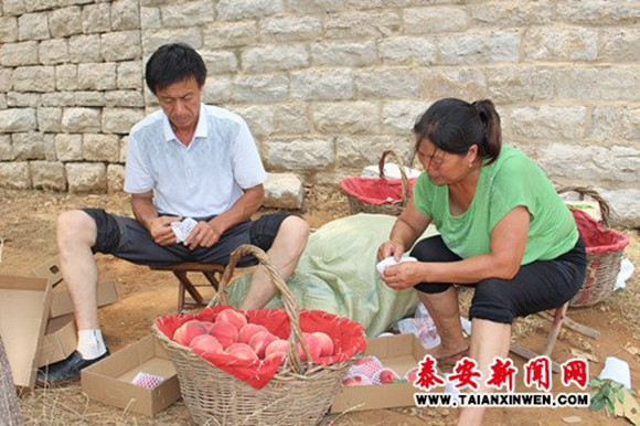 *安泰**收获6个淘宝村认证“泰山模式”被点赞