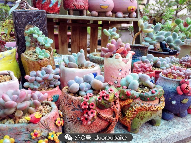 谈谈我对自己的看法,谈谈我对恋爱的看法