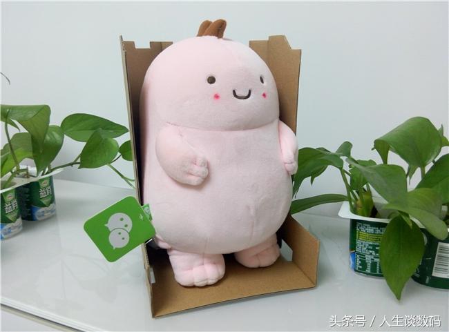 蛋君，我们一起长大吧—智能聊天公仔体验