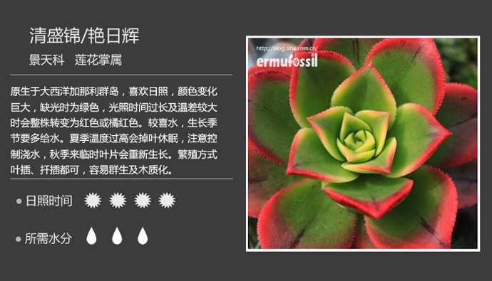 1000种多肉植物珊瑚图鉴,最全多肉品种图鉴