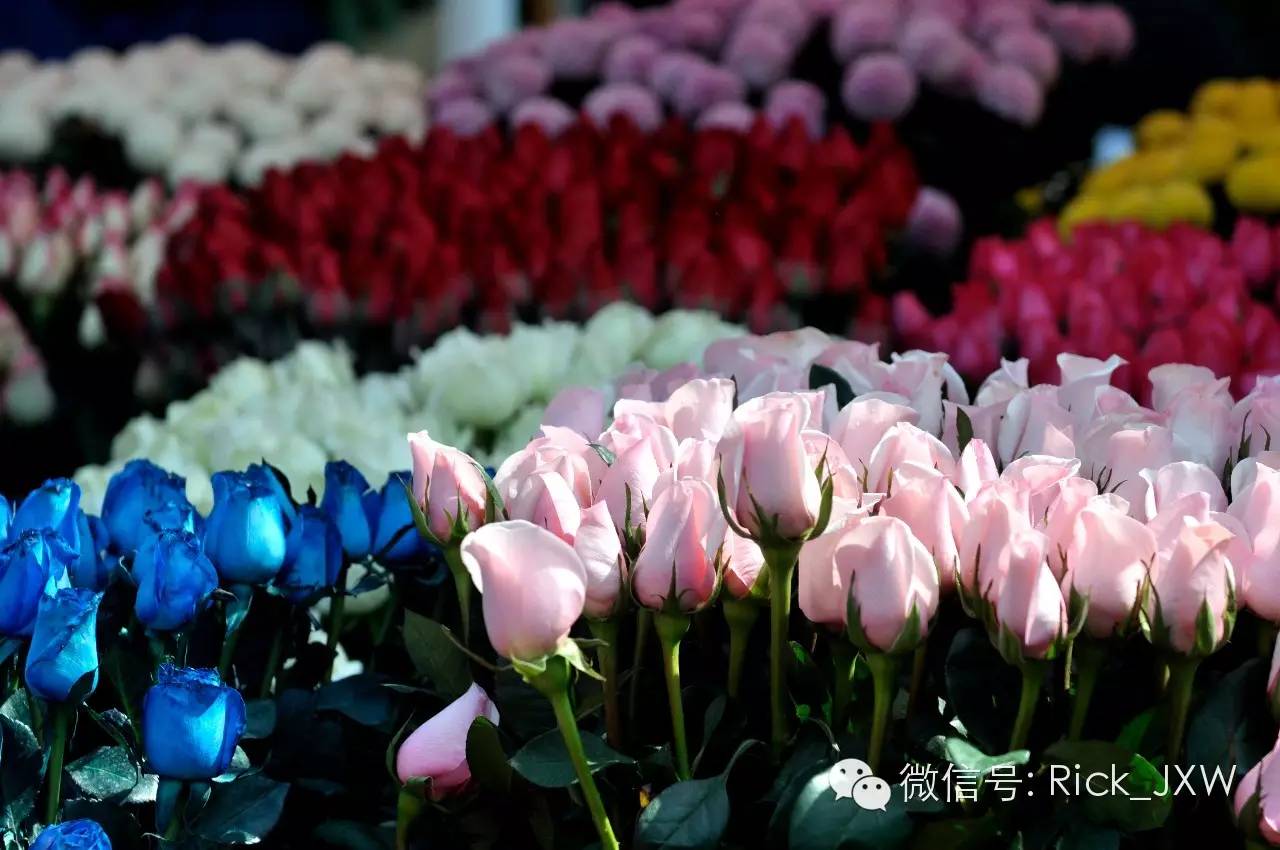 你真的了解华强北吗,你真的了解广州吗