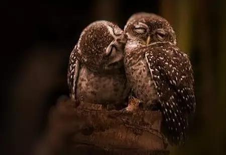 当女生说随便你该怎么办,当女生说随便你怎么说吧