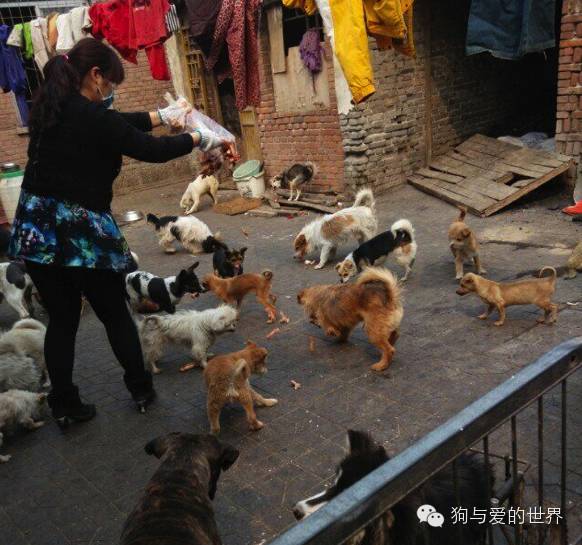 他们是最可爱的人作文700字 (他们是最可爱的人英语)