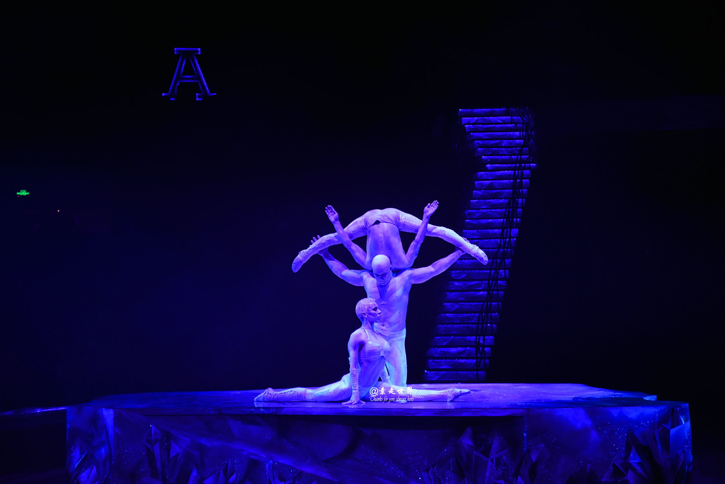 住马戏酒店游玩攻略,新年玩乐好地方