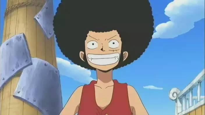 俩单身狗和一只傲娇猫，遇上植观之后.......