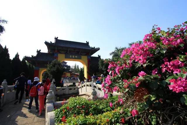 关注深圳龙岗,深圳龙岗最好消息