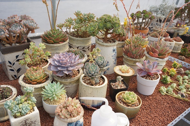 乐活主题活动,11月除了双十一还有哪些活动