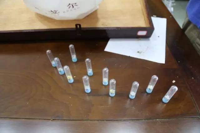 古籍虫蛀修复用什么胶,虫蛀的古籍如何修复