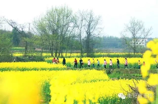 衡阳各县历史简介,衡阳各乡镇地名来历