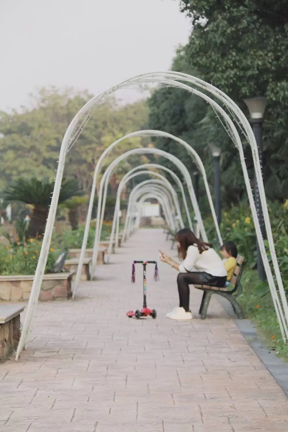 原来在宿舍也可以这么快乐,原来在大连也可以享受洱海