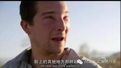 通州热线丨啥！通州一居民家发现足球大的马蜂窝？