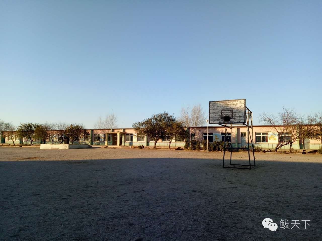 漂亮的新家,漂亮的新家完整视频