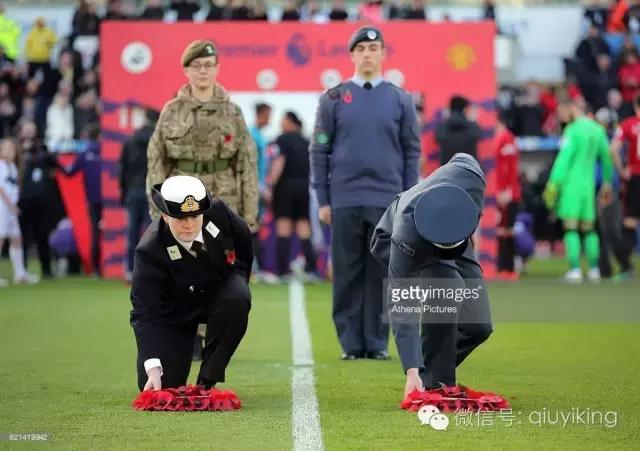 为了一朵花喝了一瓶酒,为了一朵花放弃一整个花园值吗