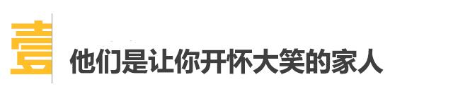 哪一种电暖炉比较好,轻奢电暖炉