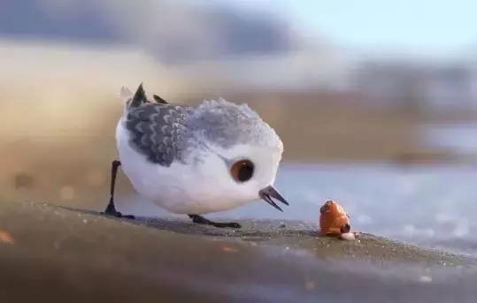 鸟是好鸟就是话多这幅图表达什么,鸟是好鸟是什么梗