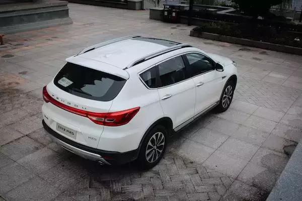 老树开新花七绝,老树开新花枯树发新芽