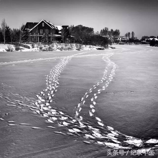 省中医吕玉波院长,广东中医院吕玉波