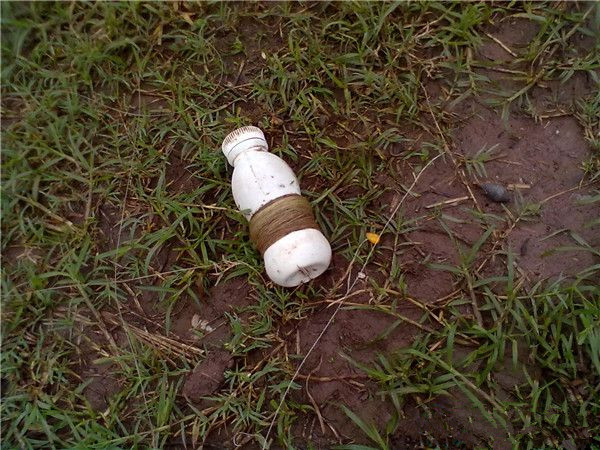 用小竹子来钓12斤的大鲤鱼,2.7米手竿钓获十几斤的鲤鱼