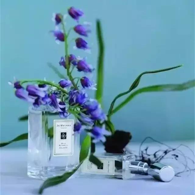 10款最佳男士香水荷尔蒙,对男士好的护肤品