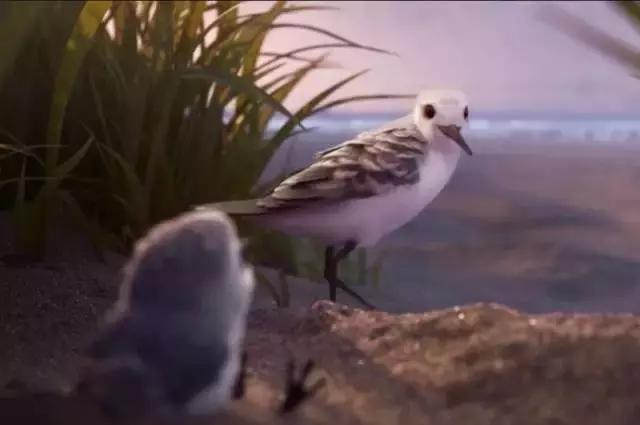 鸟是好鸟就是话多这幅图表达什么,鸟是好鸟是什么梗