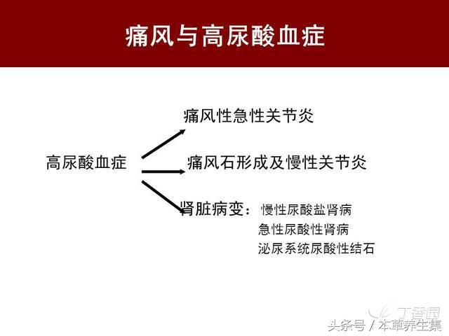3味中药茶饮，轻松解决尿酸高问题，可预防痛风发作！