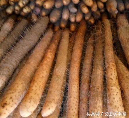 中国地理标志大会视频,国家地理标志产品官方采访