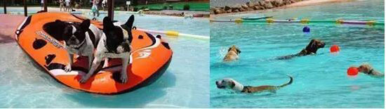 文创激发创新创业热情,文创创业产品潮起来