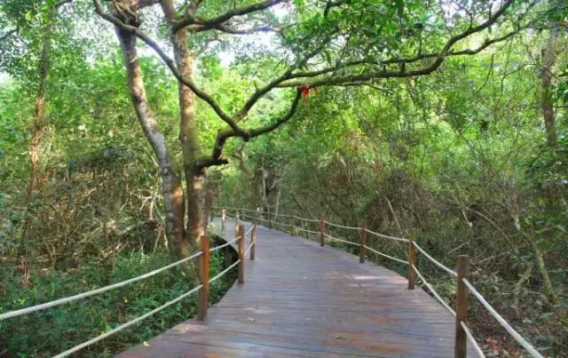 文昌是个什么样的地方,文昌有哪些自然风光特点