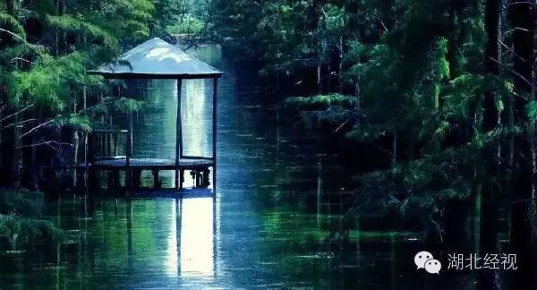 武汉秋天不可错过的美景,武汉踏春打卡地