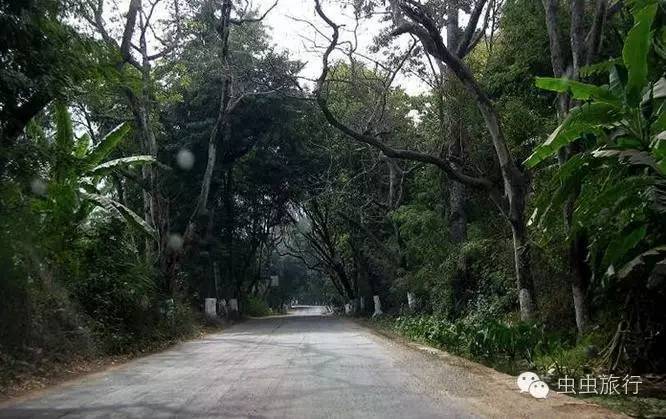昆明哪个地方可以泡硫磺温泉,昆明室外温泉推荐的30个温泉