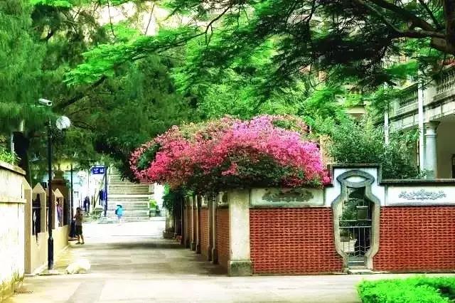 错过美丽的风景,厦门鼓浪屿的风景特别美