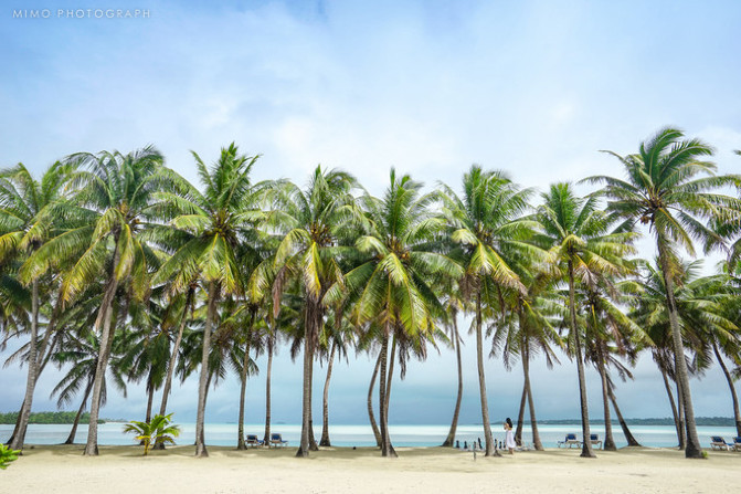 库克，上帝最秘密的存在