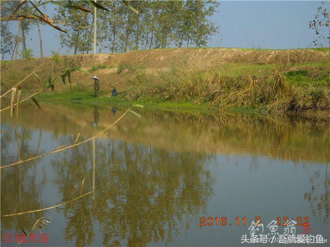 窝料大河野钓推荐,再钓东河水库