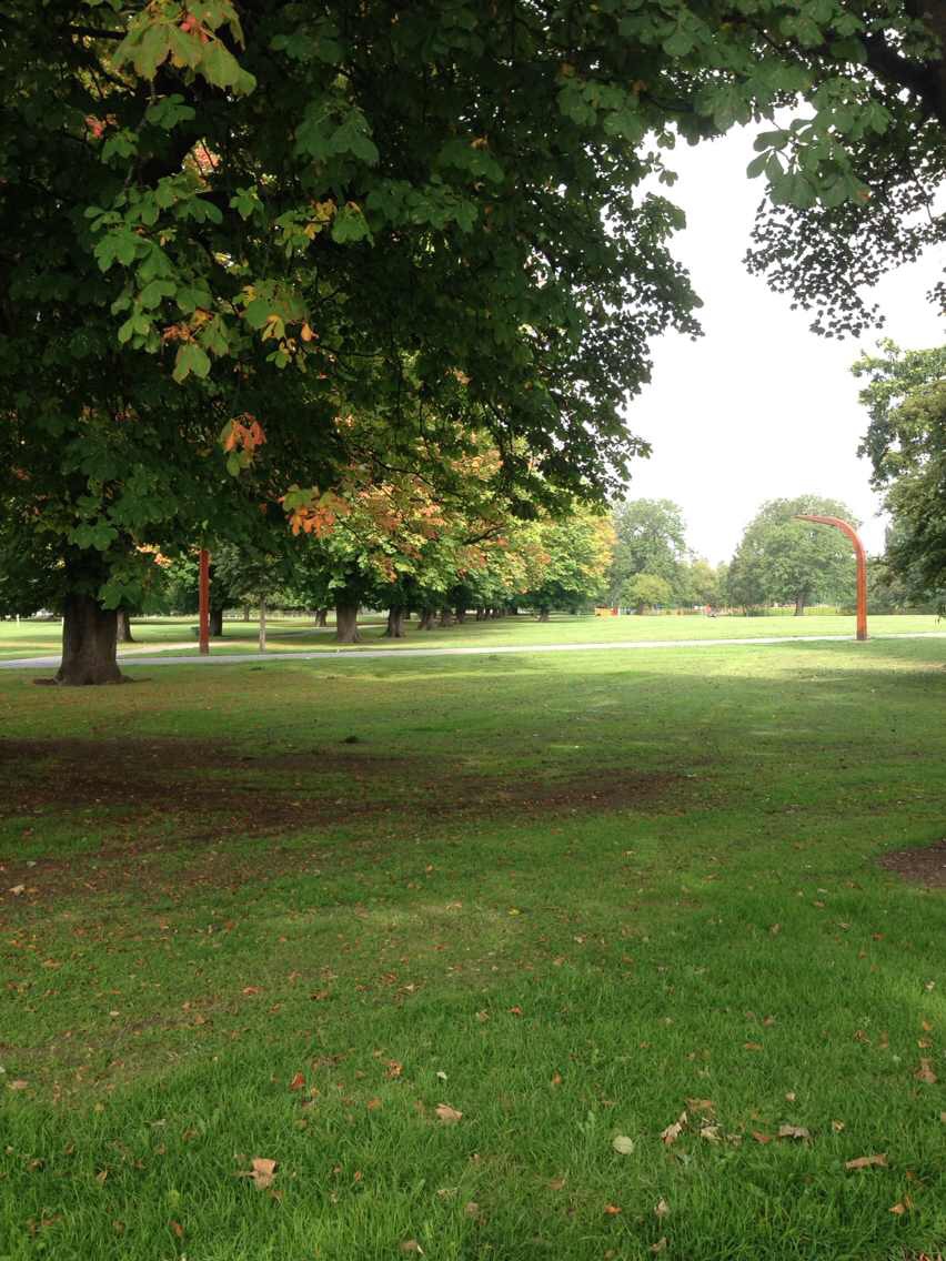 一名伪养生狗对加拿大保健品的认知旅程