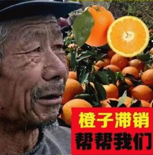 茶叶购买须知怎么写,网上买茶掌握这四点才靠谱