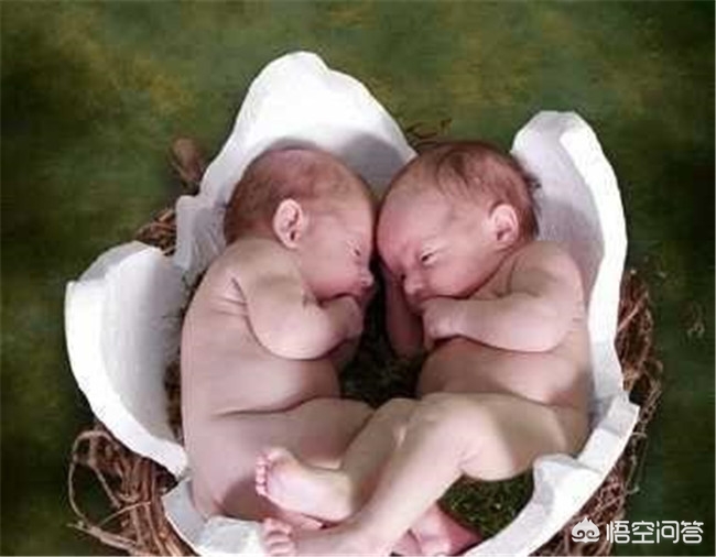 婴儿要吃核桃油么,婴儿应该吃鱼油吗