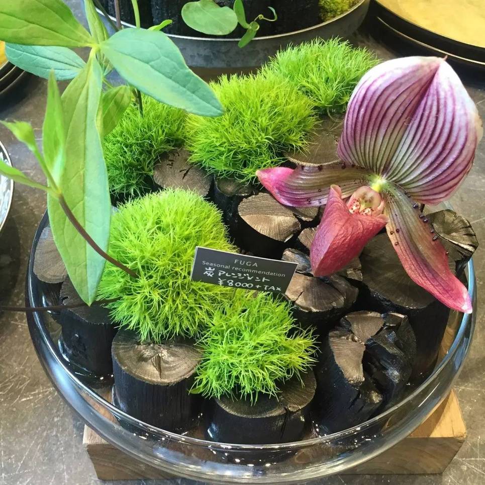 十万步走出的东京花店